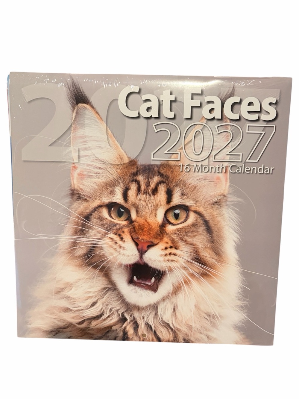 Cat Faces 2027 16 Month Cat Calendar